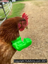 Load image into Gallery viewer, Hulk Chicken Arms
